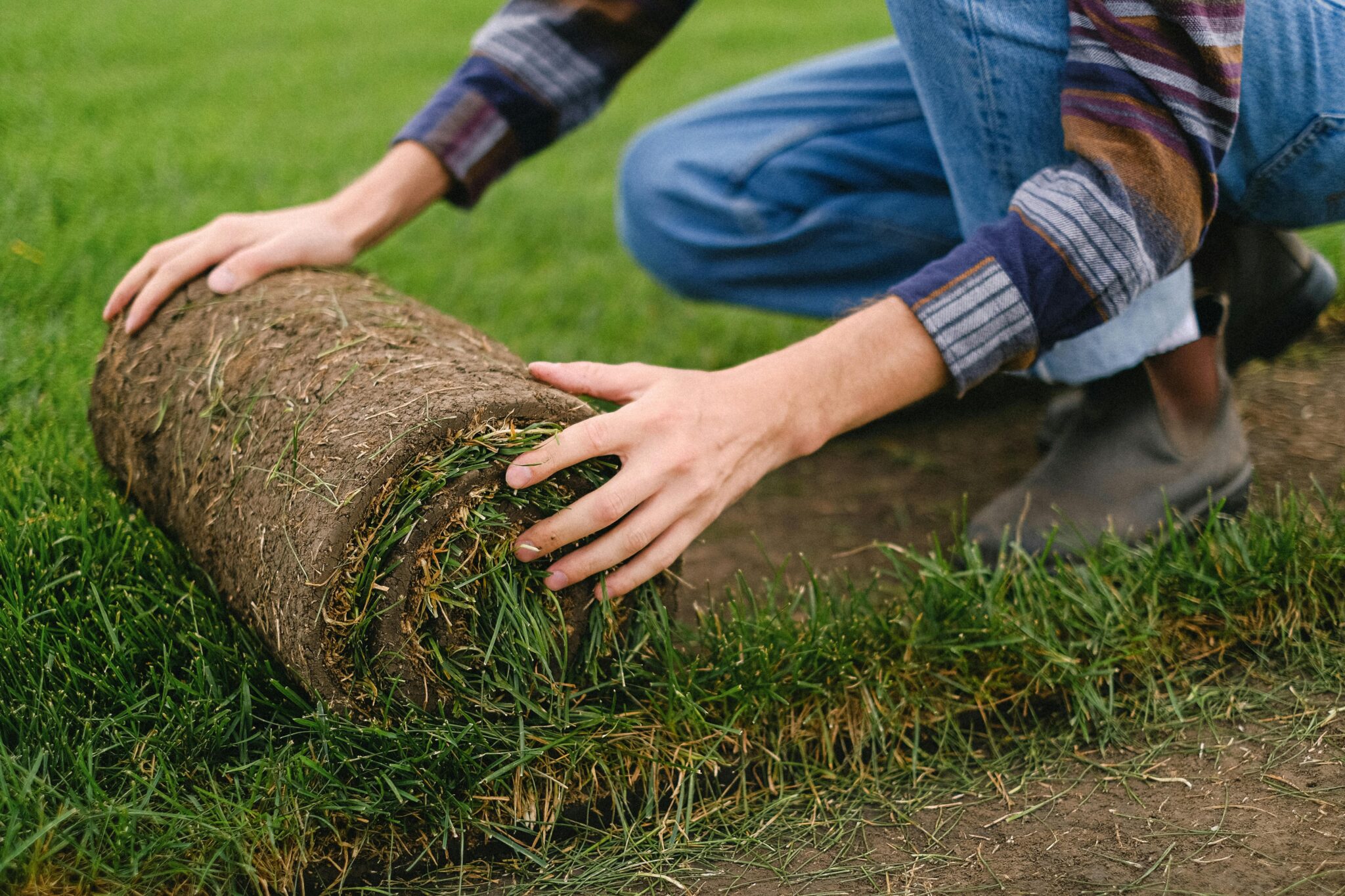 sod and installation mt dora fl