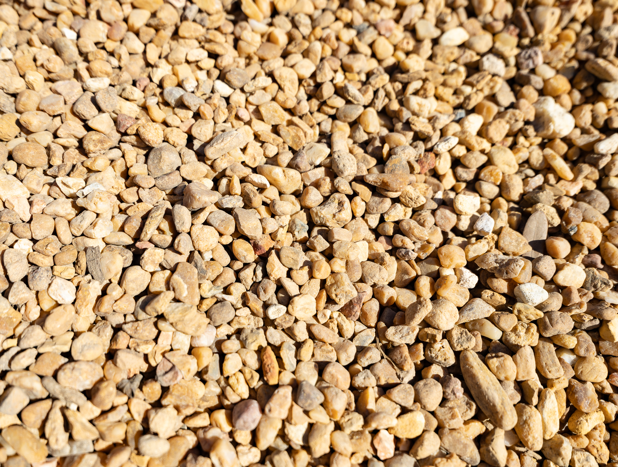 Pea Gravel: yd