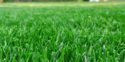 st-augustine-provista-270x270